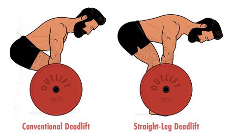The Romanian Deadlift Guide Outlift
