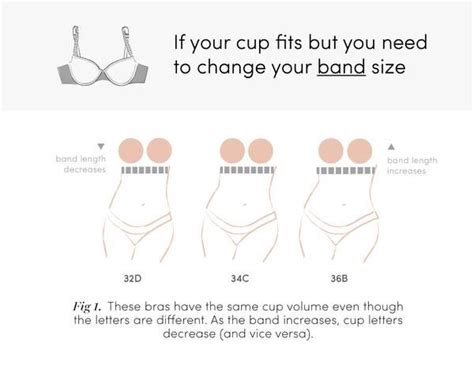 Sister Sizes The Bra Secret Every Woman Should Know Thirdlove Blog
