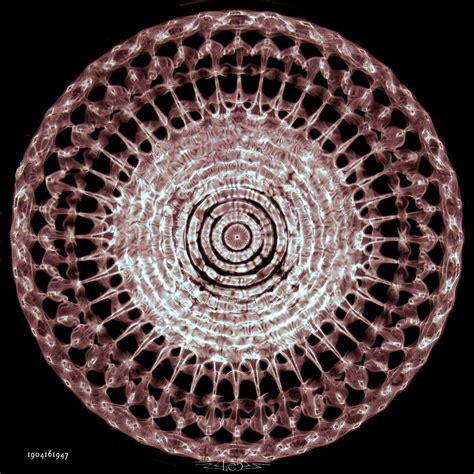 Cymatics The Power Of Visual Sound Forty Fourfold Geometrical Glyph