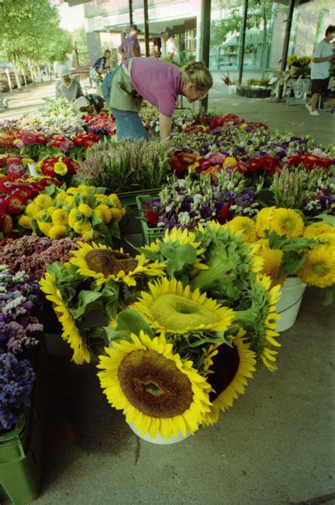Kathy Melmoth Sells Flowers At The Ann Arbor Farmers Market, August