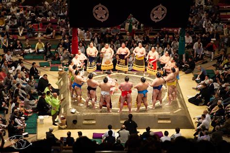 Comment Voir Des Sumo à Tokyo Le Guide Pratique