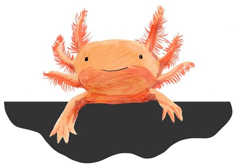 Axolotl clipart 20 free Cliparts | Download images on Clipground 2023