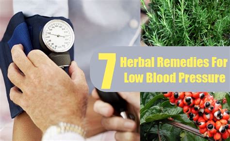 7 Herbal Remedies For Low Blood Pressure How To Treat Low Blood
