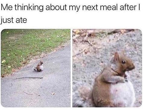 Every Food Lover Meme Guy
