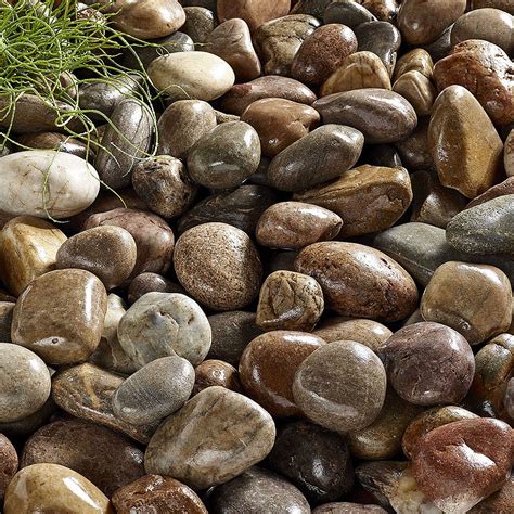 60 Top Photos Alpine Mix Decorative Stone Decorative Stones For Sale