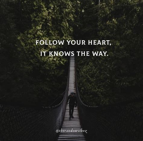 80 Follow Your Heart Quotes To Inspire You Viralhub24