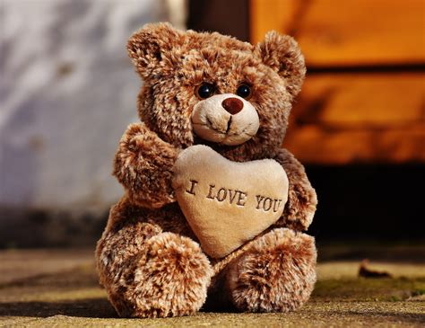 Free Images Love Teddy Bear Plush Sweet Bears Cute Romantic