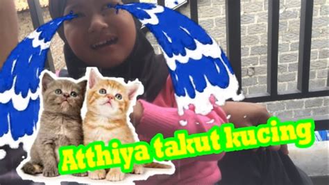 Kucing Lucu Atthiya Main Anak Kucing Lucu Youtube