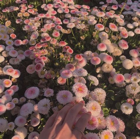 Image About Pink In Spring Aesthetic By Oh Rose Core Aesthetic
