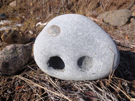 Free Images Beach Water Nature Rock Pebble Lakeside Face Snout