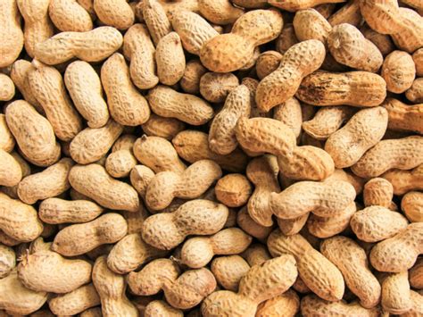 All You Need To Know About Peanuts And Heart Health Times Of India