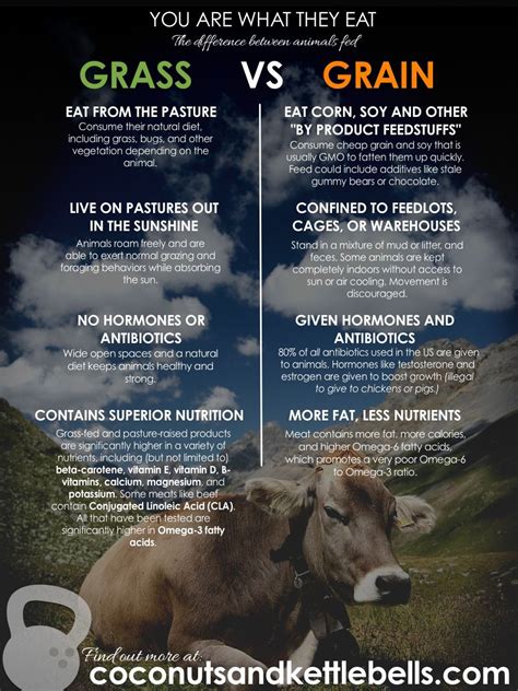 The Grass Fed Difference Why You Are What They Eat Coconuts