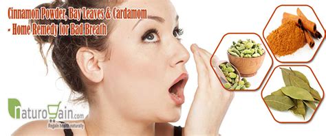 10 best home remedies for bad breath to gain fresh breathing [fast]