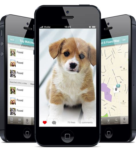 finding rover app by Michal Galubinski, via Behance | Losing a dog ...