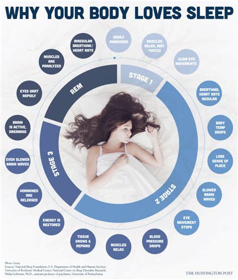 In Honor Of Clocks Forward Sleep Awareness Week Sleep Health Stages Of Sleep Body Health