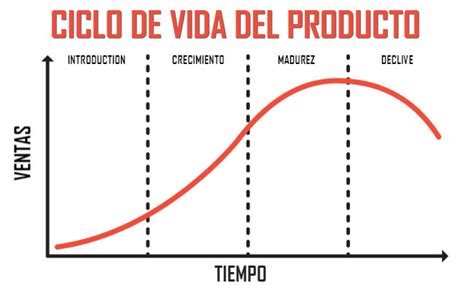 Marketing y formación El ciclo de vida del producto
