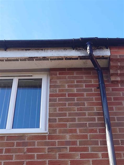 Fascia And Soffit Installation Repairs And Cleaning Services Kettering