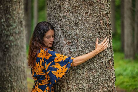 Embrace The Future Become A Tree Hugger In Trentino