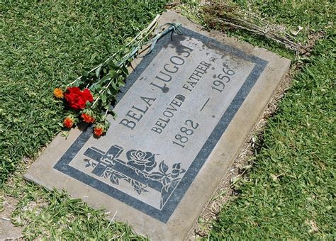 Otis Odd Things Ive Seen Bela Lugosis Grave
