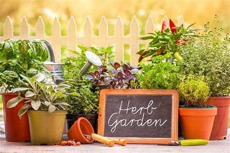 25 Pretty Herb Garden Ideas