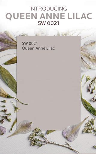 Queen Anne Lilac Sw 0021 Will Have You Feeling Relaxed All Year Long