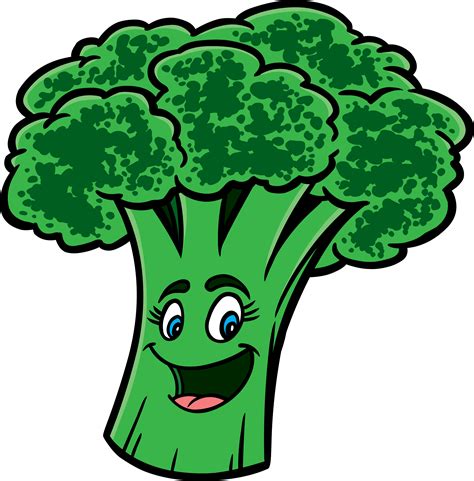 Broccoli Png Transparent Image Download Size 2674x2718px
