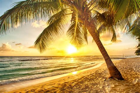 Tropical Paradise Beach Palms Sea Sunset Beach Sea Palm