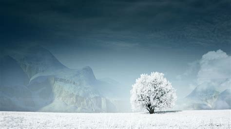 Snow 1920x1080 Wallpapers Wallpaper Cave