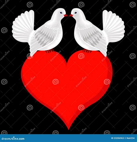 White Kissing Doves In Love On Heart Wedding Card Stock Illustration