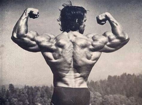 Arnold Massive Ripped Back Fitness Body Bodybuilding Fun Workouts