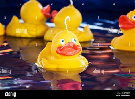 Catch Me Ducks Hi Res Stock Photography And Images Alamy
