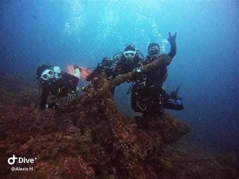 Sea Rider Dive Center Puerto Galera 2022 All You Need To Know