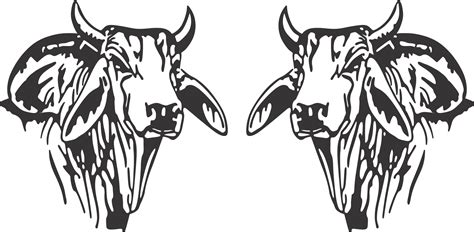 Brahman Bull Head Vehicle Sticker Allens 4x4 Tint And Signs