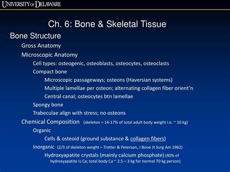 Ppt Ch 6 Bone And Skeletal Tissue Skeletal Cartilages Classification