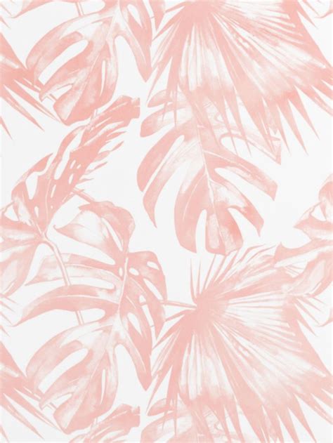 Tropical Pink Wallpapers Top Free Tropical Pink Backgrounds