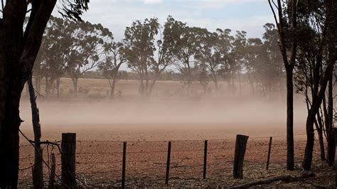 How To Minimise Wind Erosion After Soil Amelioration Groundcover
