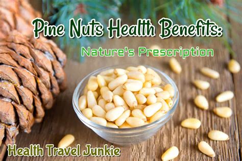 Pine Nuts Health Benefits And The Giant Pine Nuts Of Brazil