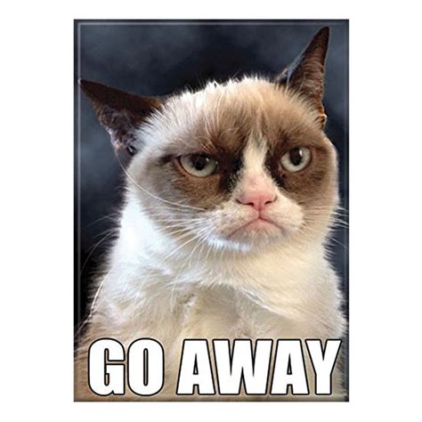 Grumpy Cat Go Away Magnet Grumpy Cat Funny Cat Memes Cat Memes