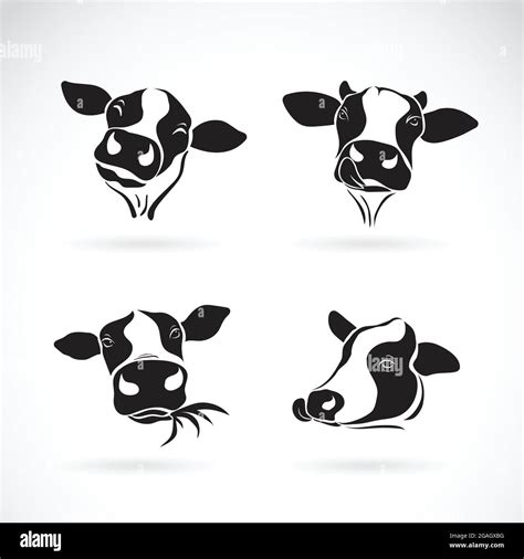 Vector Group Of A Cow Head Design On White Background Farm Animal