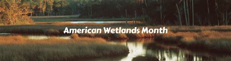 May Is American Wetlands Month Ufifas Extension Marion County