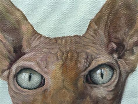How To Paint A Hairless Sphynx Cat In Oil Step By Step Shelley Hanna