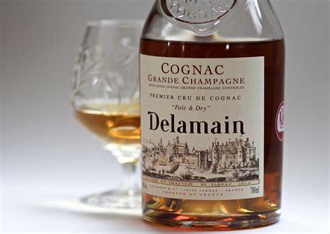 Discover The 10 Best Brandy Brands For Your Next Sip