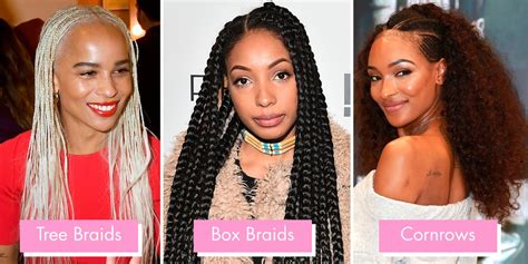 Braids And Twists From Crochet And Box Braids To Dutch And Ghana