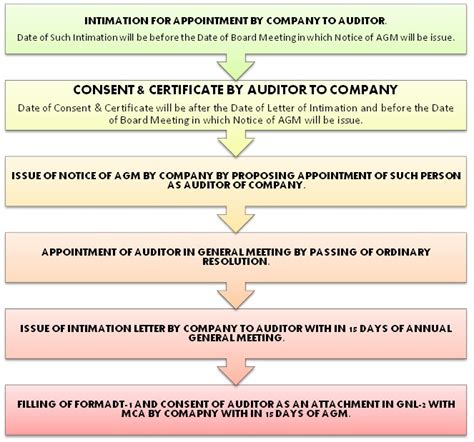 appointment  statutory auditor  companies act
