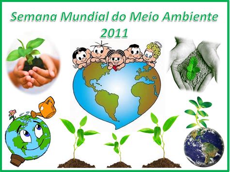 Infoirio Dia Mundial Do Meio Ambiente