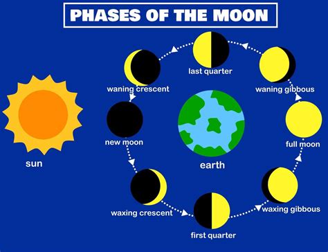 Fases Do Moon Lunar Phase Earth E Sun Luna O Ciclo Lunar Change Night Sky Infographic Eclipse