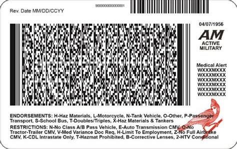 Drivers License Barcode Tips To Avoid Identity Theft 2023