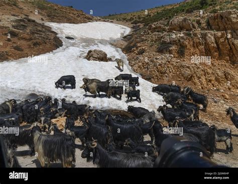 Liban 2022 0516 Hi Res Stock Photography And Images Alamy