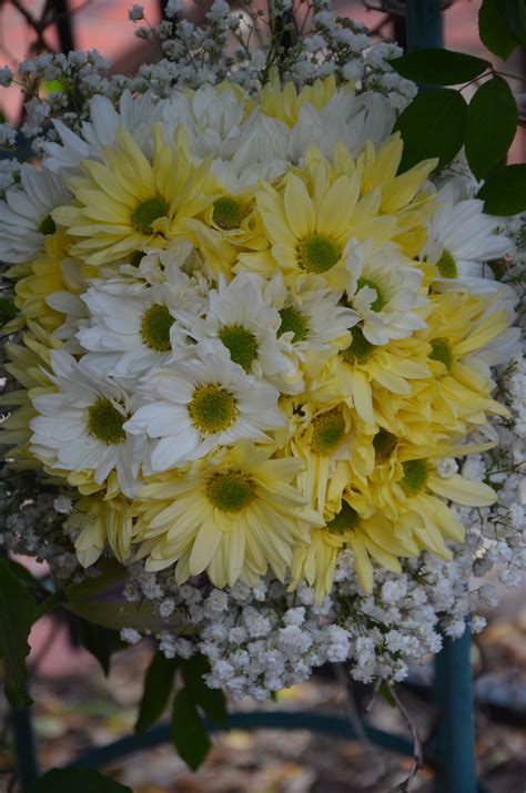 Wedding Bouquet Yellow And White Daisy Mix Bridesmaids Bouquet