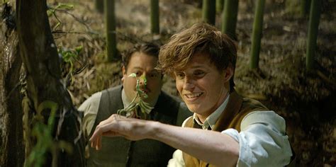 Fantastic Beasts And Where To Find Them The Best Scenes